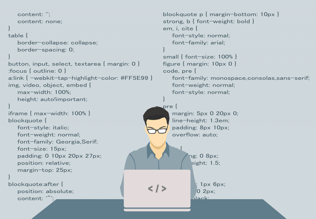developer