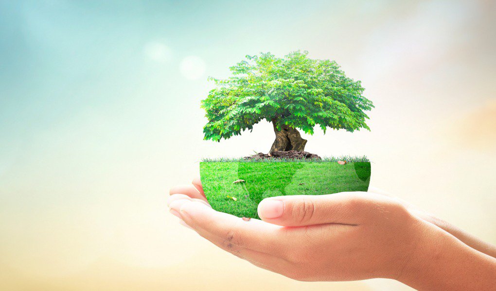 Green Horizons: Mastering Sustainability Marketing for Eco-Friendly Products and Practices cover